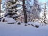 winter_auf_dem_birkenhof